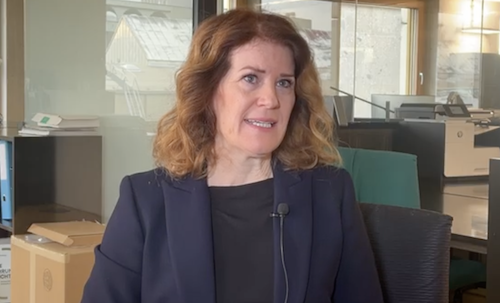 -Wir-m-ssen-die-linksgr-nen-Autohasser-stoppen-