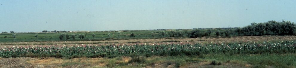 Alibi-Angriff-der-USA-auf-Venezuela